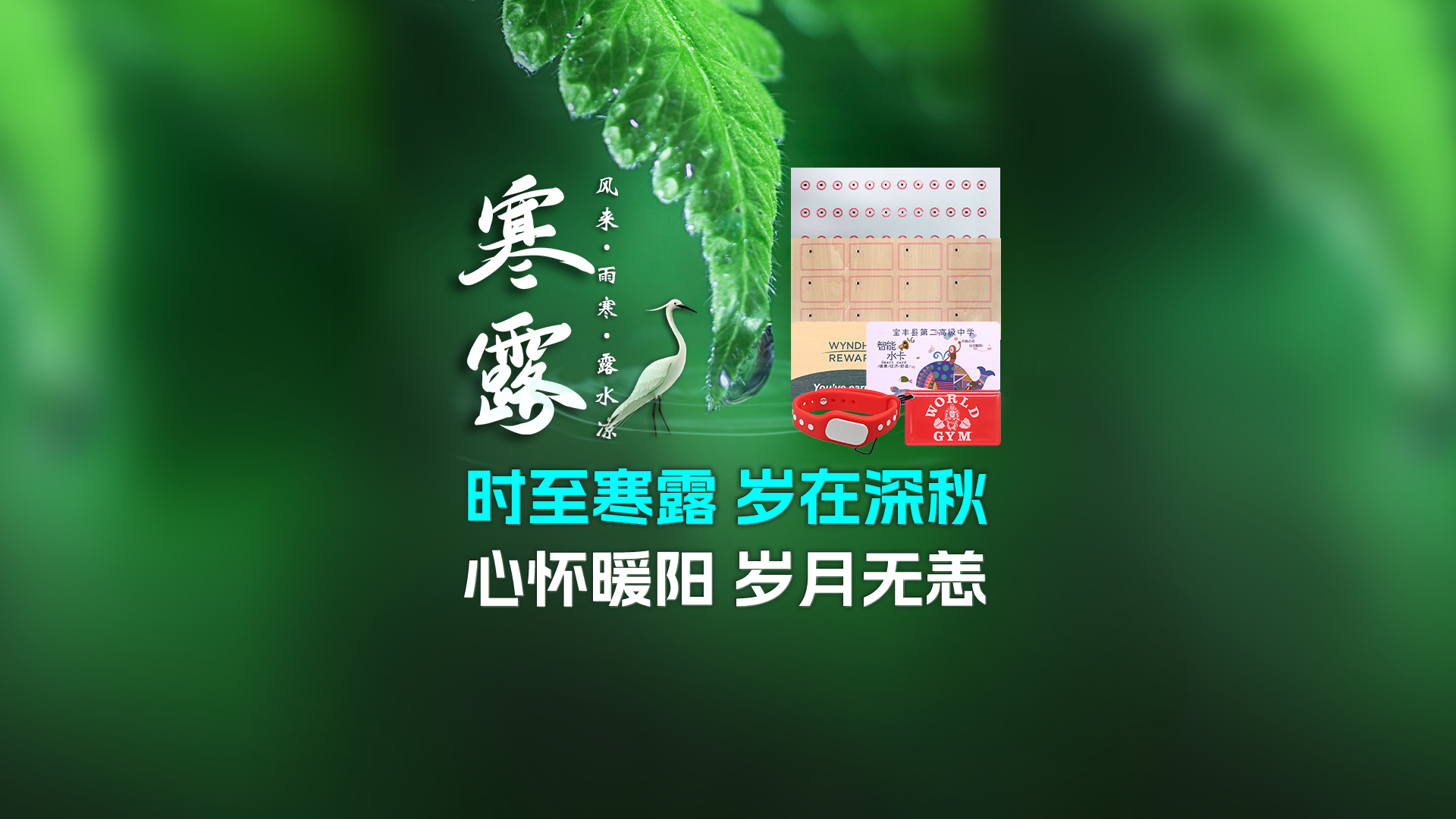 寒露至秋意濃，卡立方集團(tuán)攜RFID智能卡中料木卡腕帶伴您暖度深秋